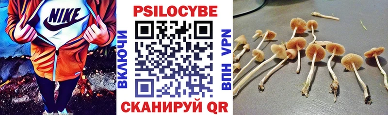 Галлюциногенные грибы MAGIC MUSHROOMS наркошоп hydra ONION Барабинск